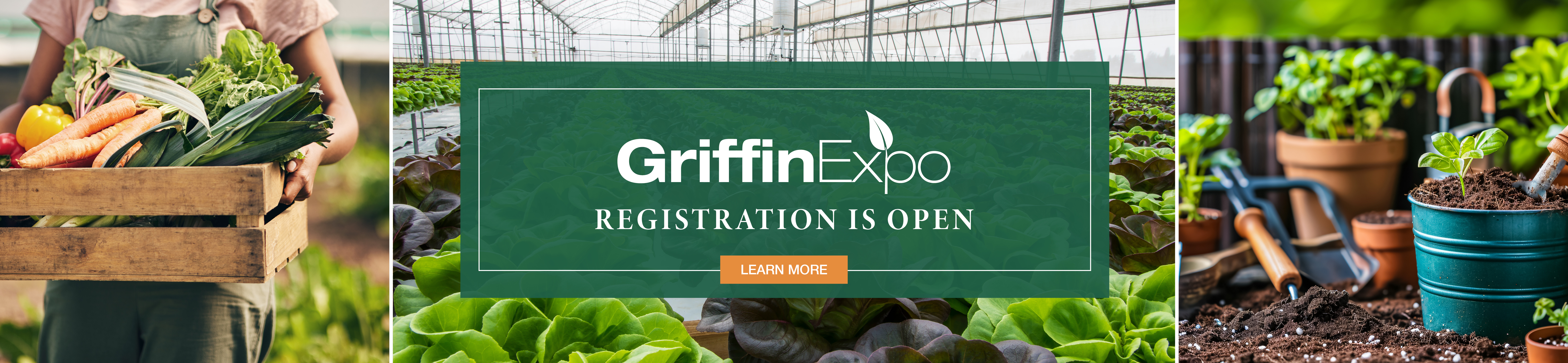 Expo Banner 